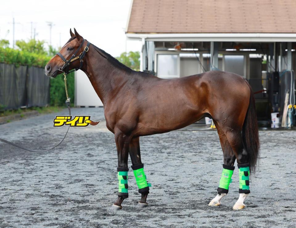 ジョバンニ　評価Ｂ