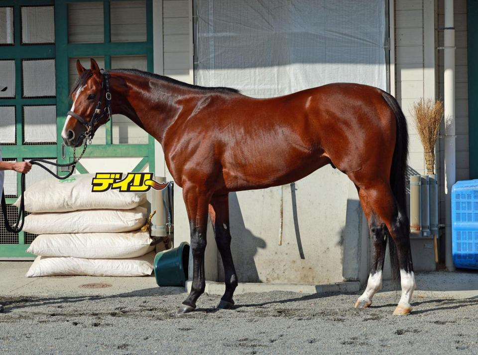 エキサイトバイオ　評価Ｃ