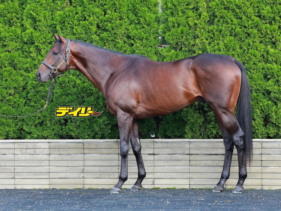 ジーティーアダマン　評価Ｂ