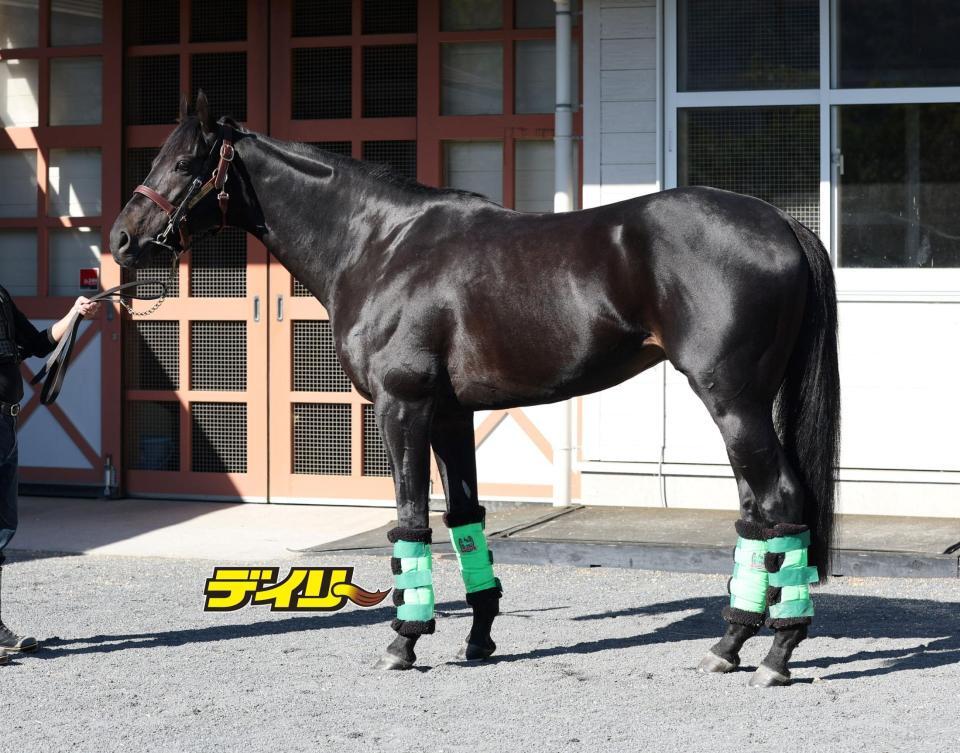 ジャスティンパレス　評価Ｂ