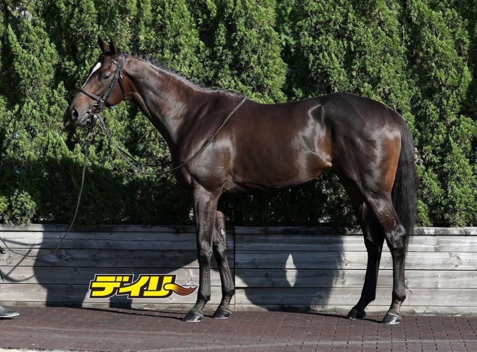 クイーンズウォーク　評価Ｂ