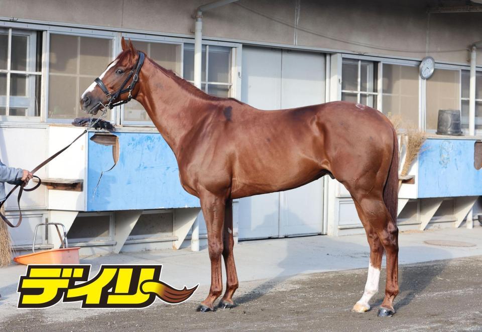 アーバンシック　評価Ｂ