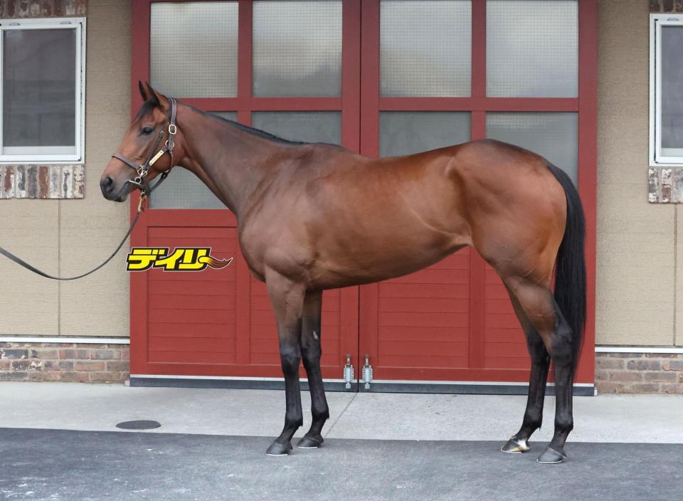 レガレイラ　評価Ａ