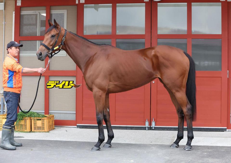 シンリョクカ　評価Ｂ