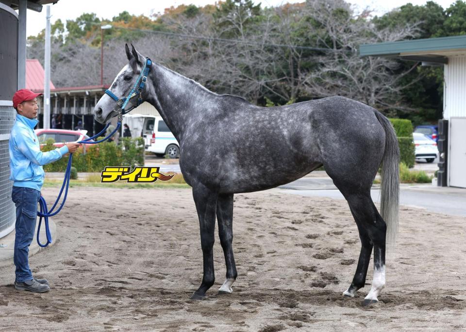 フェアエールング　評価Ｂ