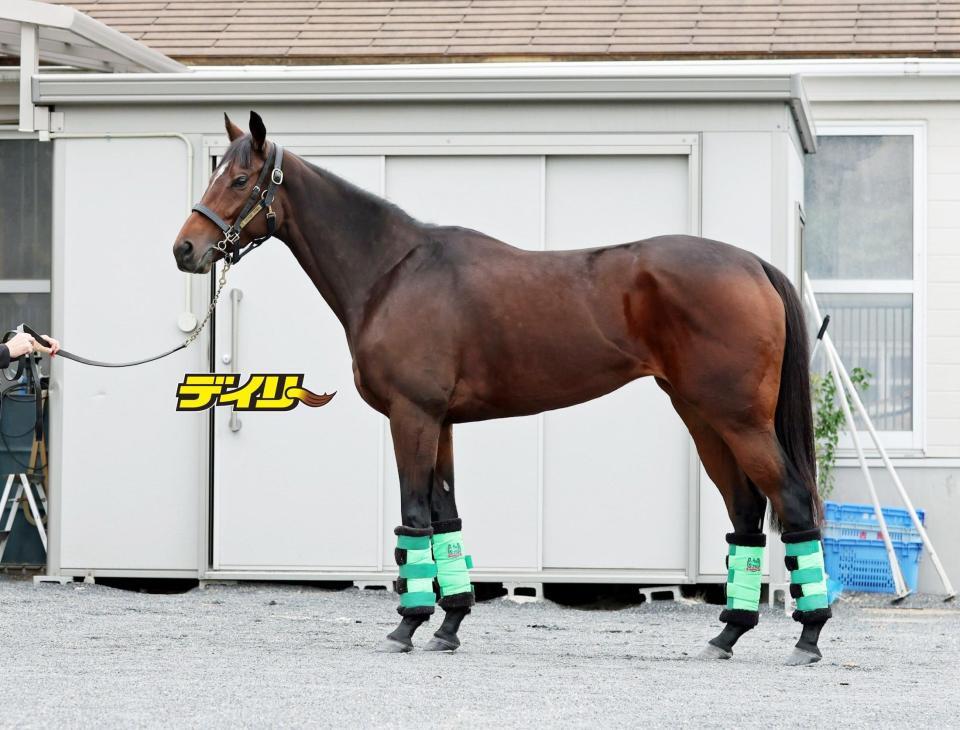 オーロラエックス　評価Ｂ