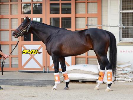 ジャンタルマンタル　評価Ａ