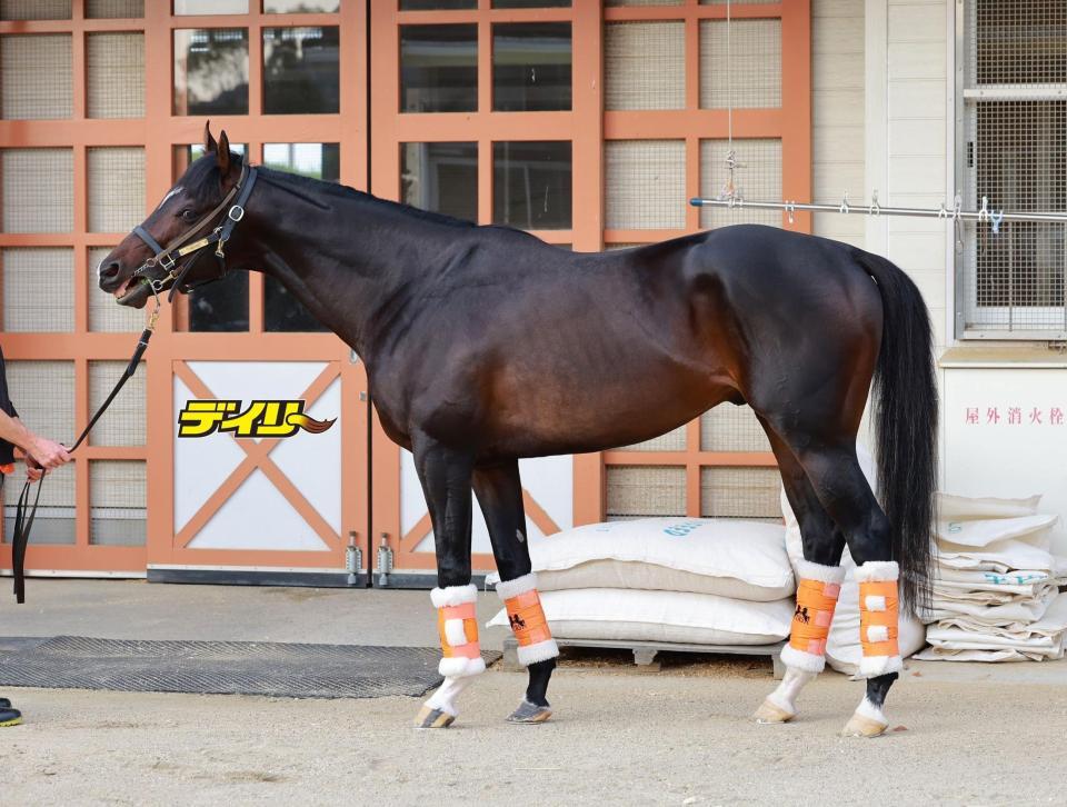 ジャンタルマンタル　評価Ａ