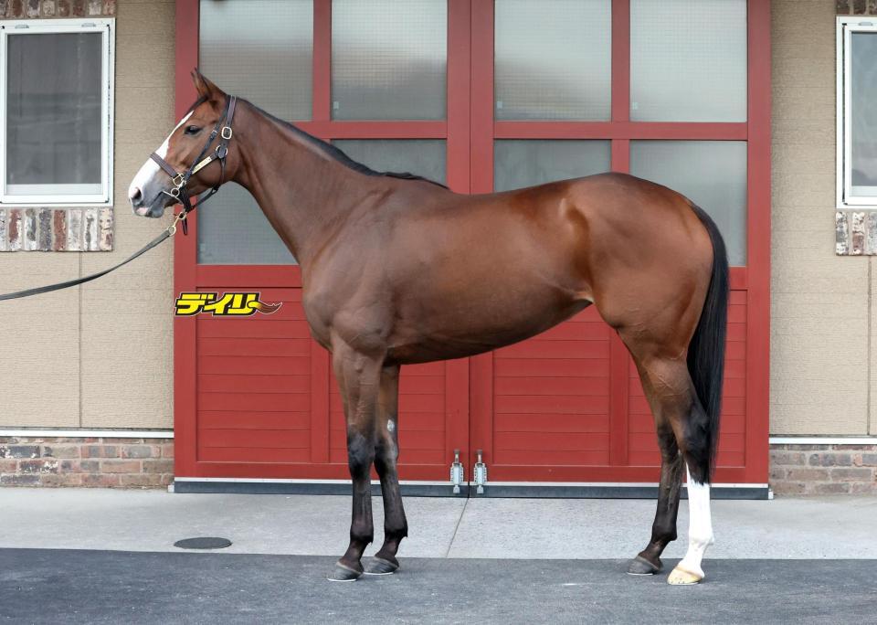 チェルヴィニア　評価Ａ