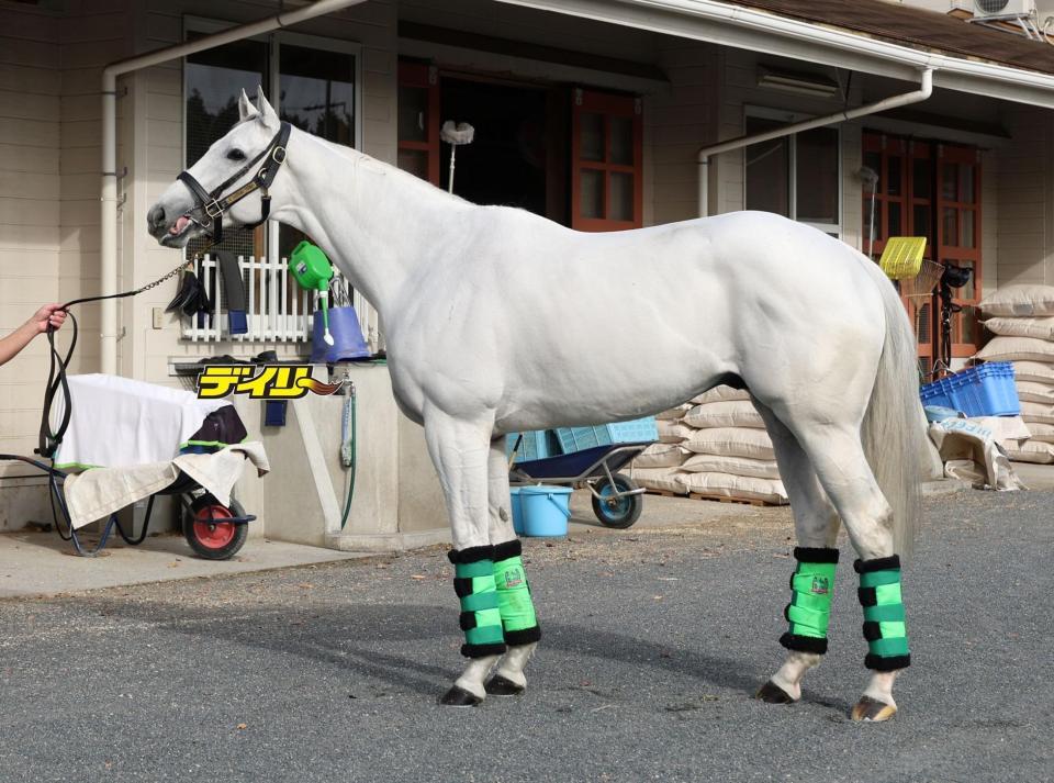 ガイアフォース　評価Ｂ