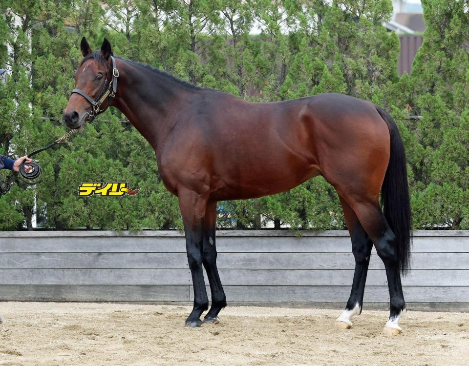 オフトレイル　評価Ｂ