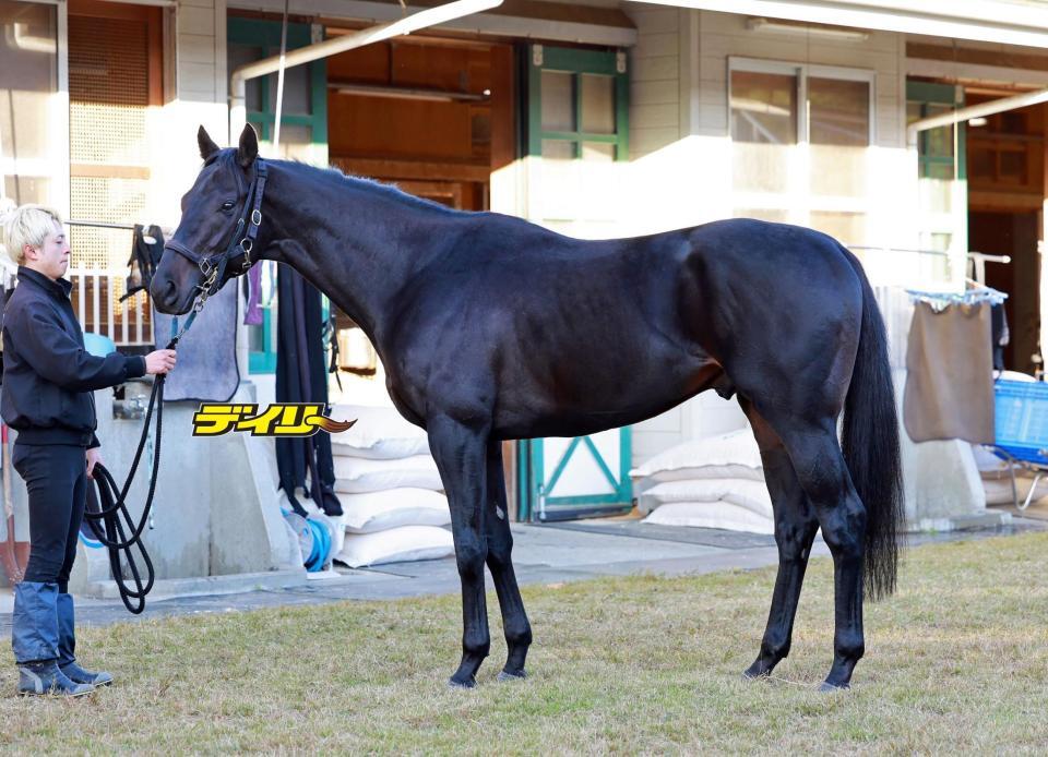 マジックサンズ　評価Ｂ