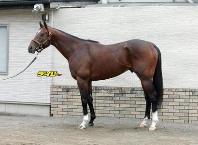 レーベンスティール