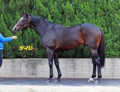 ソウルラッシュ