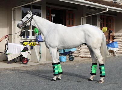 ガイアフォース