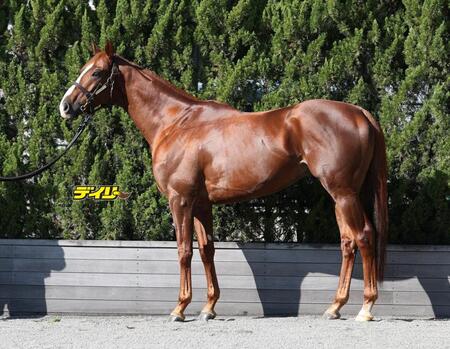 サンライズアース　評価Ｂ