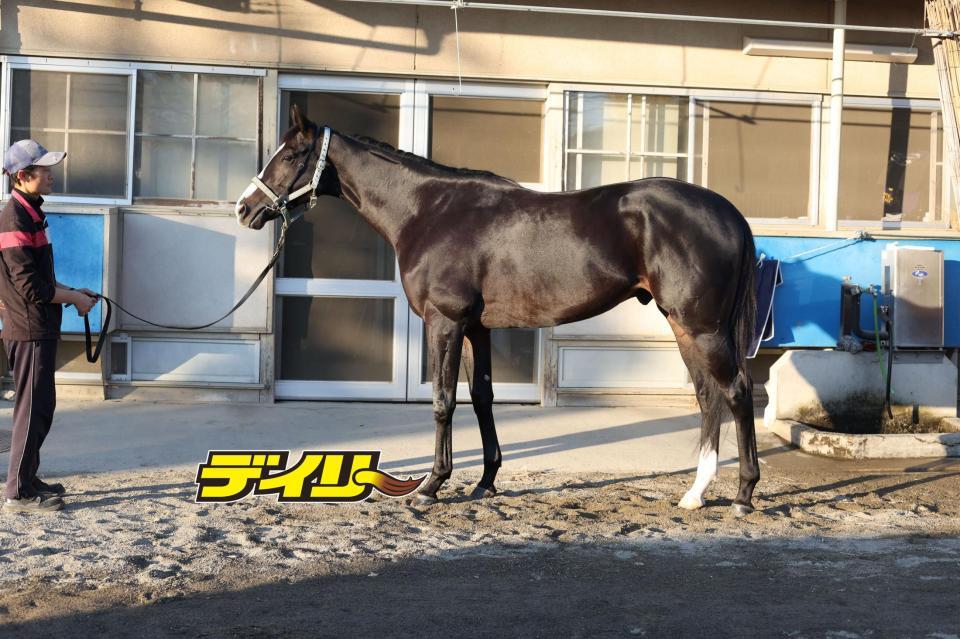 マスカレードボール　評価Ｂ