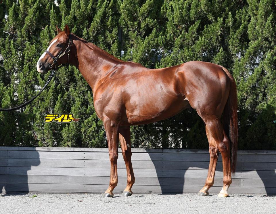 サンライズアース　評価Ｂ