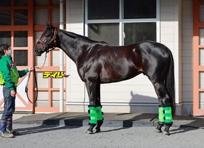 ジャスティンパレス