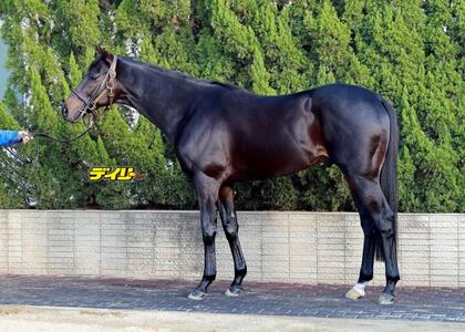 ディープモンスター