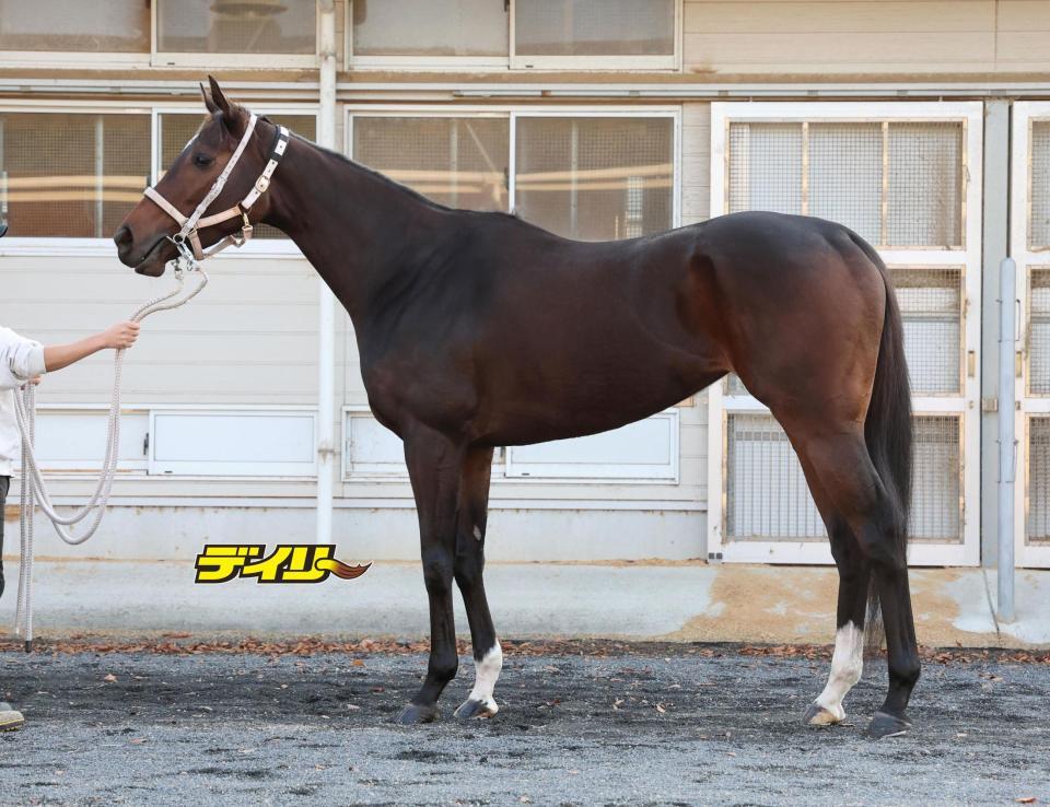 ダブルハートボンド　評価Ａ