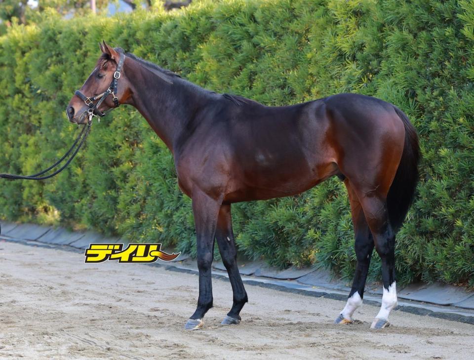 ラムジェット　評価Ｂ