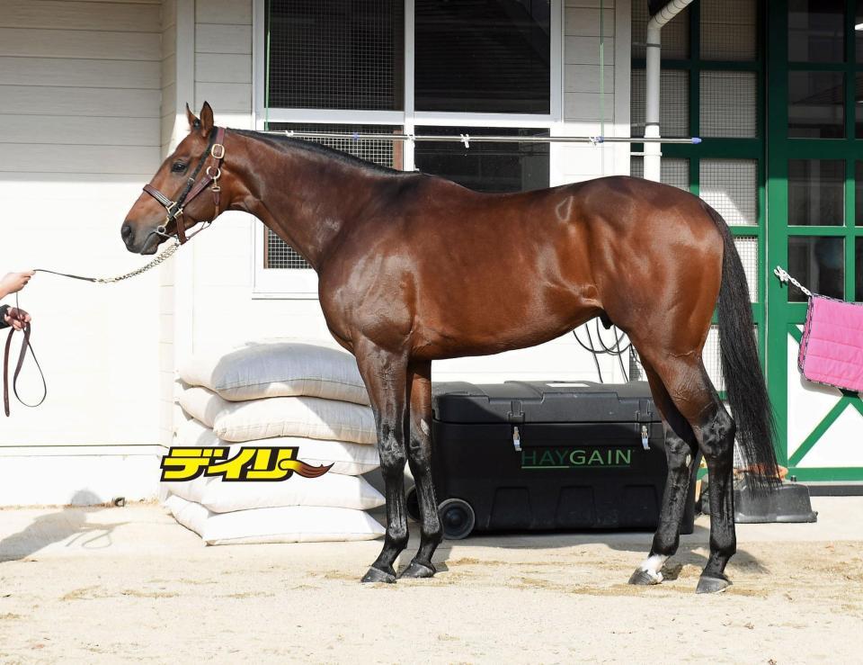 サンライズジパング　評価Ｂ