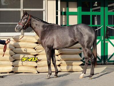 コルテオソレイユ