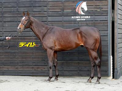 ペプチドナイル