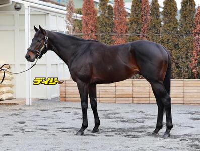 ロードクロンヌ