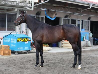 シックスペンス