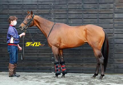 エーティーマクフィ