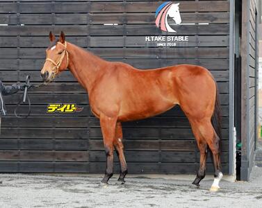 ジューンブレア