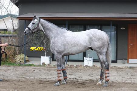 ララマセラシオン