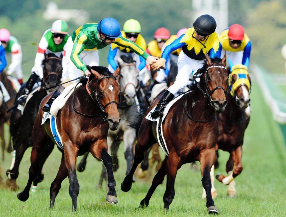 今年の日本ダービーはノーザンファーム生産馬マカヒキ（右）とサトノダイヤモンドのワンツー決着となった