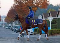 　データ班がイチ推しするテーオーケインズ