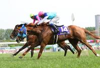 　２００８年春の天皇賞を制したアドマイヤジュピタ