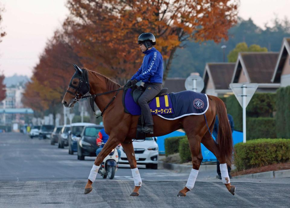 　データ班がイチ推しするテーオーケインズ