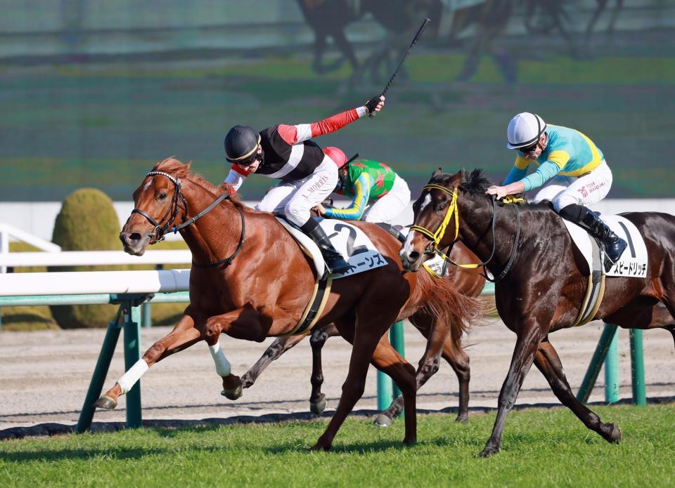 　新馬戦を快勝したストーンズ。鞍上モリスはＪＲＡ初勝利（撮影・石湯恒介）