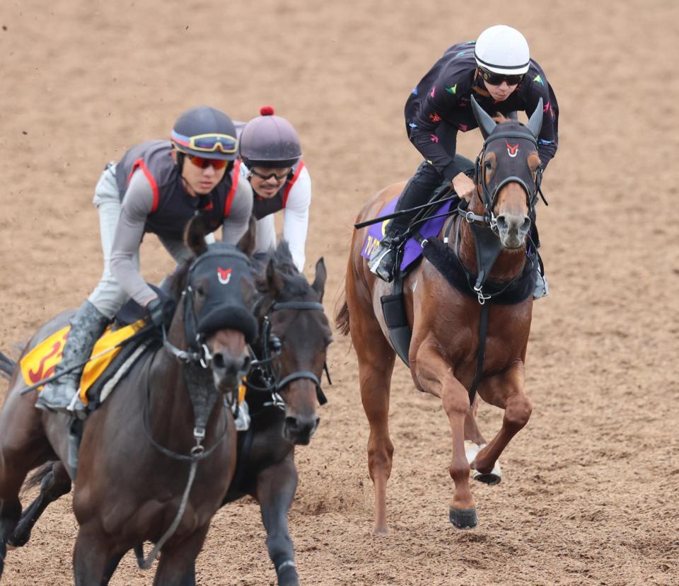 　横山和を背にウッドチップコースで（左から）アフトクラーティア、ナヴァラトゥナと併せて追われるアレグロブリランテ（右）