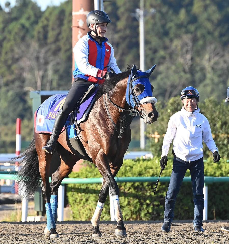 　タイムトゥヘヴンとマイルＣＳ制覇を目指す柴田善（右）＝撮影・園田高夫