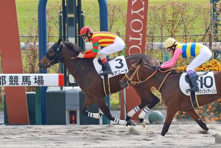 　新馬戦を快勝したキアニーナ（撮影・石湯恒介）