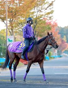 　データから推奨するドウデュース