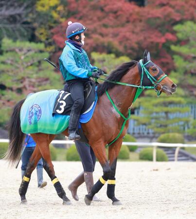 　新馬勝ちを狙うヴァルチャースター