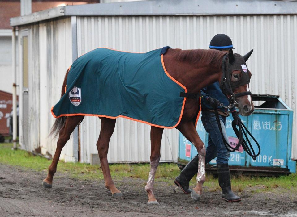 　凱旋門賞馬を父に持つミリアドタレント