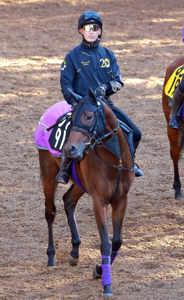 　初陣を迎える厩舎ゆかりの良血馬クラヴァンス＝撮影・石湯恒介