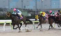 　東京２歳優駿牝馬を制したプラウドフレール（左）