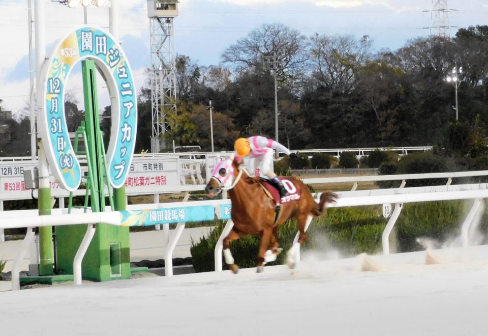 　無敗で２歳王者に登り詰めたオケマル（撮影・中山伸治）