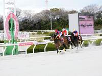 　激戦を競り勝って重賞２勝目を挙げたテンカジョウ（左）＝撮影・中山伸治