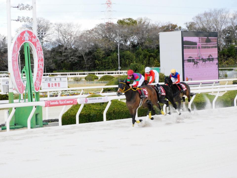 　激戦を競り勝って重賞２勝目を挙げたテンカジョウ（左）＝撮影・中山伸治
